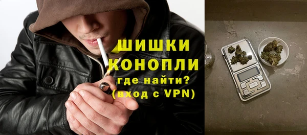 индика Киренск