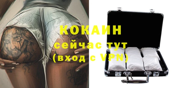 индика Киренск