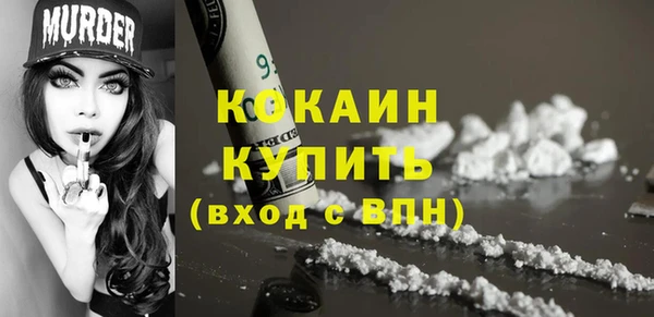 индика Киренск