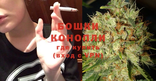 индика Киренск