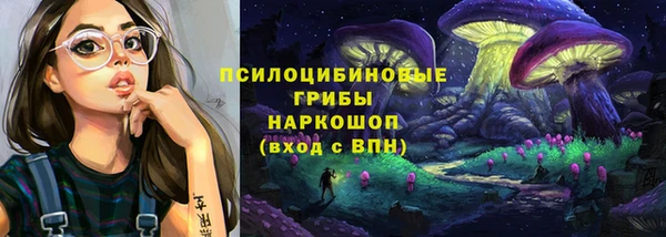 индика Киренск