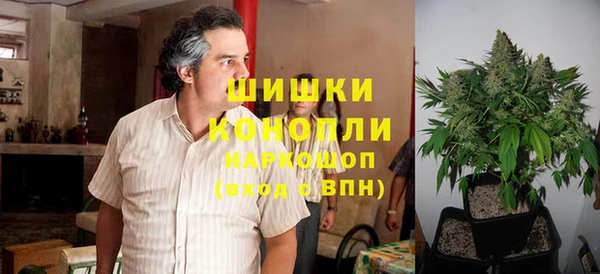 индика Киренск