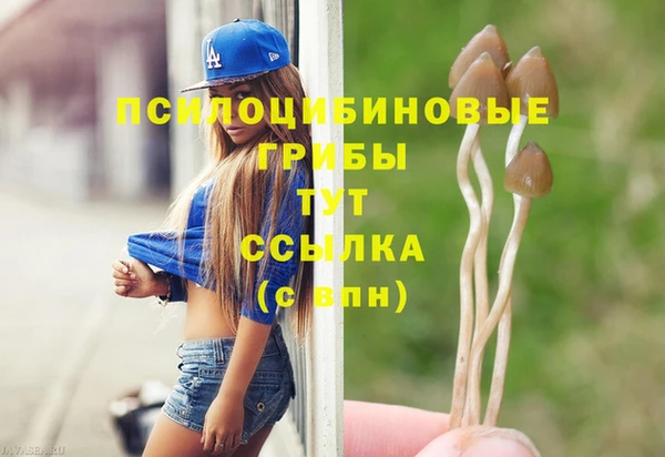 а пвп мука Кинешма