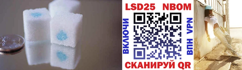 продажа наркотиков  Княгинино  ЛСД экстази ecstasy 