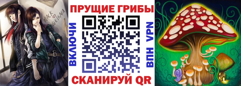 Псилоцибиновые грибы Cubensis  сколько стоит  Княгинино 